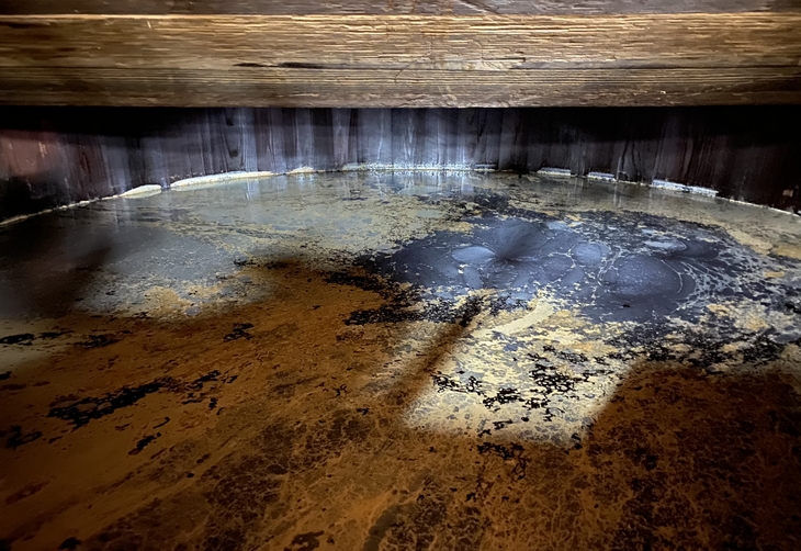 木桶の中で発酵中の酢酸菌の膜